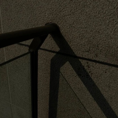 兽设写实风格绘画兽圈社群